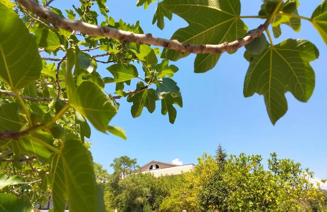 B&B L'Oasi-1